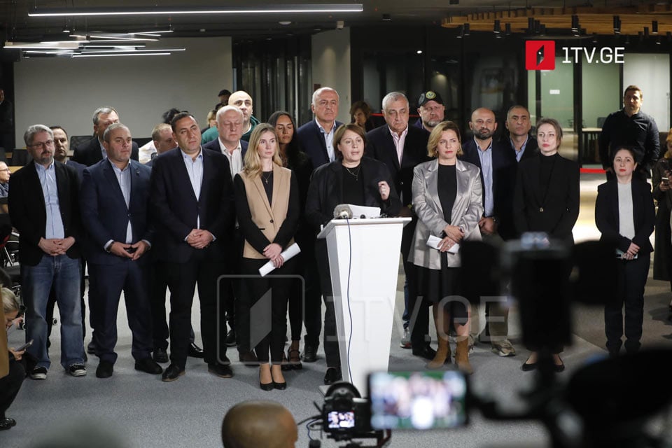 Elene Xoştaria - Küçəyə çıxmaq və xalqa öz ölkələrinə nəzarəti etirazla qaytarmaq bizim borcumuzdur, məhz küçə planımızın əsas, mərkəzi istiqamətlərindən biri olacaq