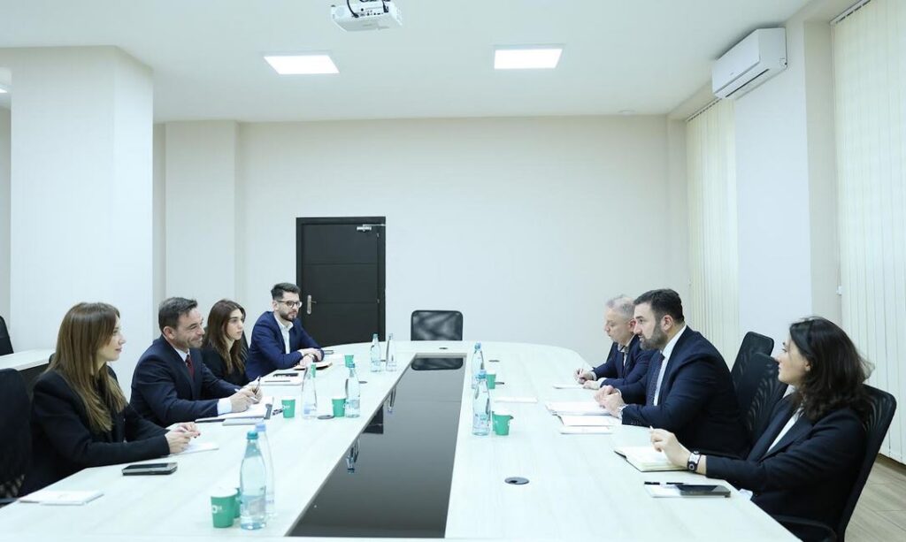 CEC Chair meets IRI representatives