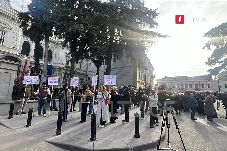 Coalition for Change youth rally near Orbeliani Palace, President meets EU foreign affairs committee leaders