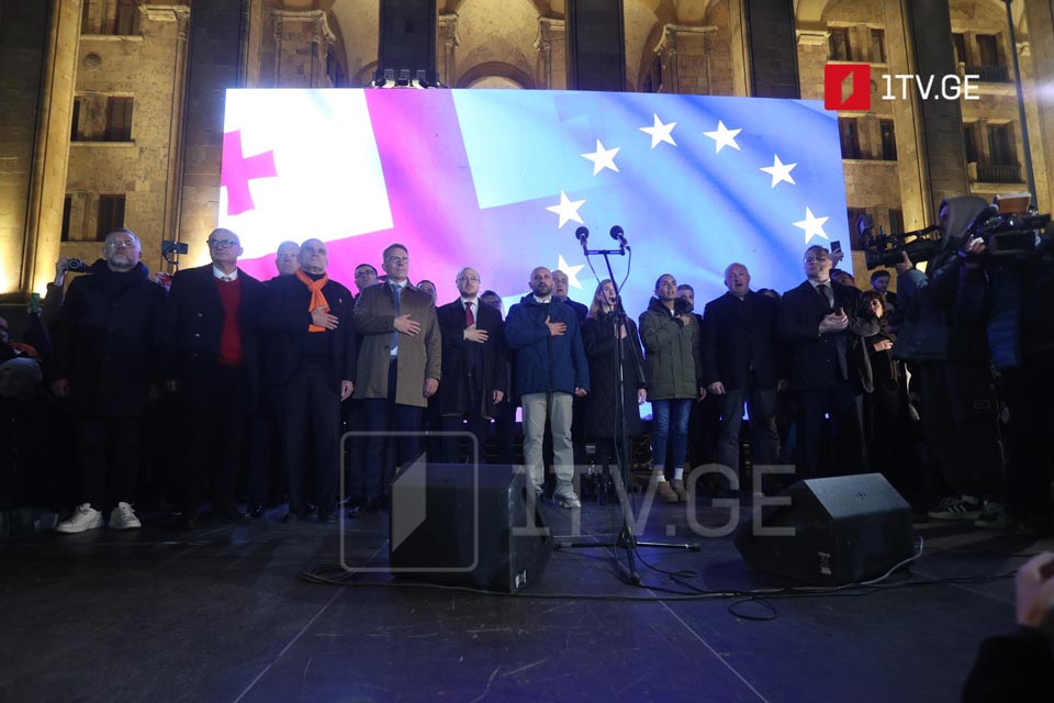 European Foreign Affairs Committee Chairs attend opposition-organized rally