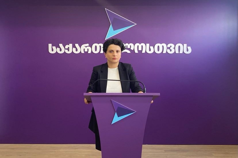Նաթիա Մեզվրիշվիլի. Քանի դեռ չի ճանաչվել պատգամավորի լիազորությունները, չի կարող տեղի ունենալ «ցուցակների չեղարկում» և գրանցման մերժում, երբ գնում եք իրավաբանական անհեթեթության, լրացուցիչ հիասթափություն եք առաջացնում