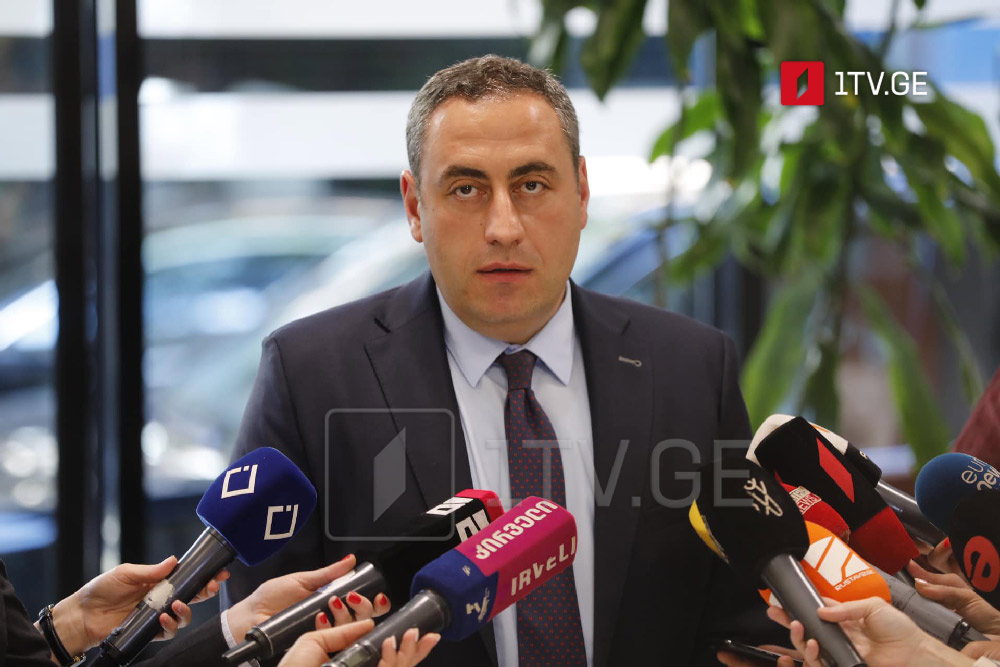 Unity-National Movement's Vashadze calls for taking ink, spraying it in scammers face