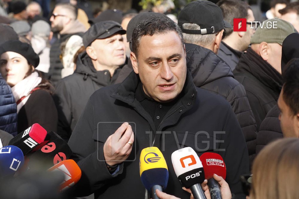 Unity-National Movement's Vashadze says protesters comply with law