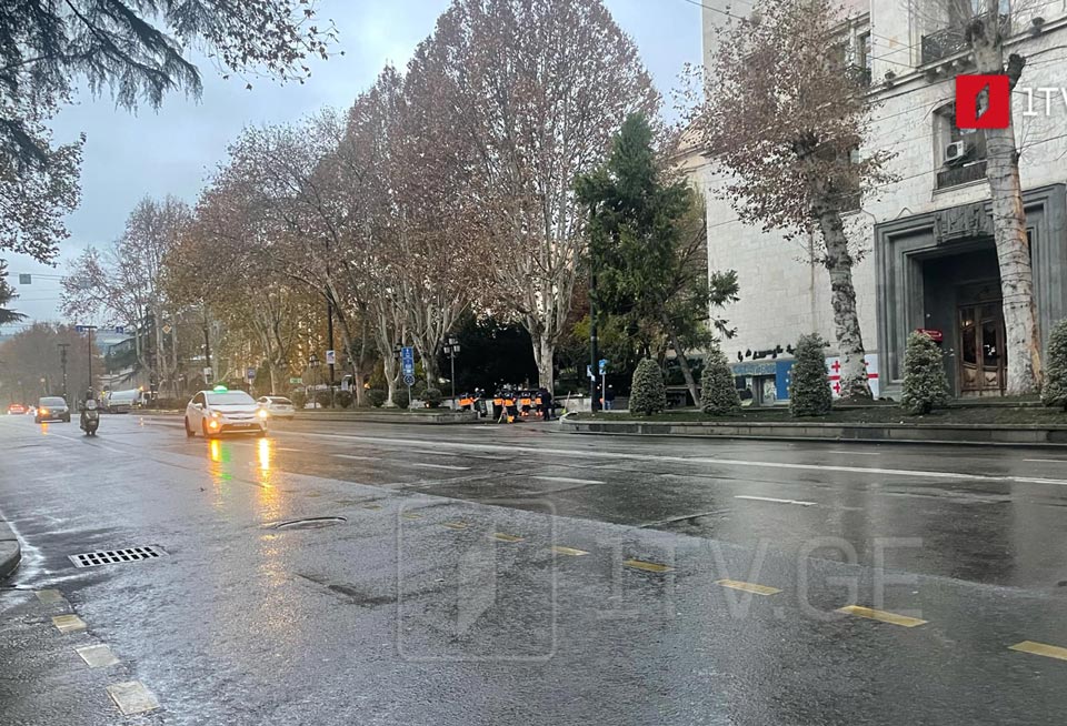 Rally ends on Rustaveli Avenue, traffic partially restored