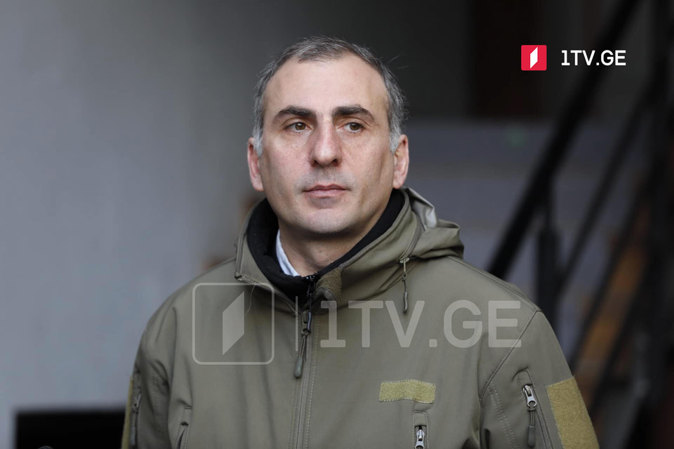 Алеко Элисашвили - Мы сформировались в гражданскую нацию, это прекрасный самоорганизованный гражданский протест