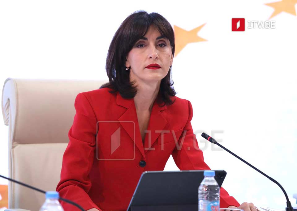 Georgian FM: Cherish partnership with EU, expect partnership based on mutual respect, sadly, this is not always the case