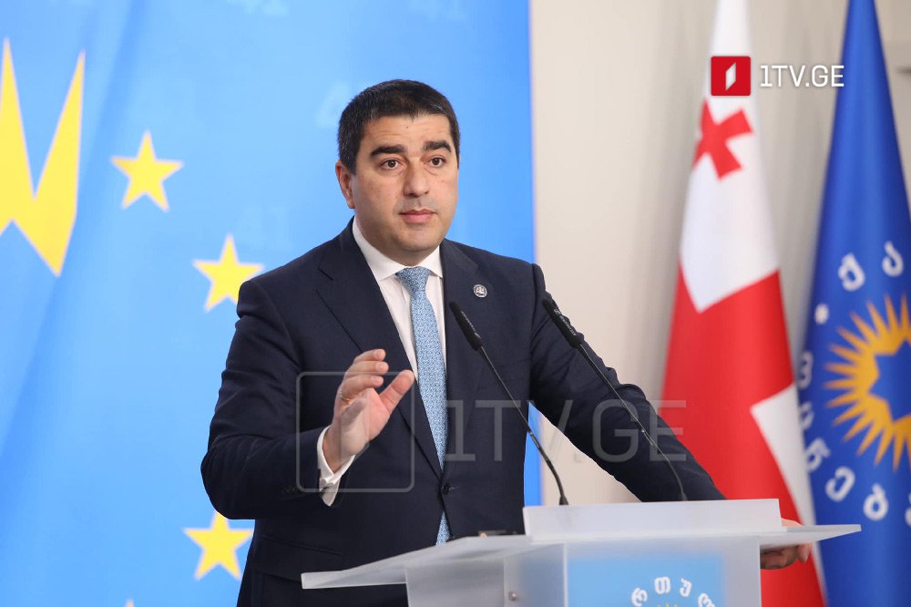 Şalva Papuaşvili - Yeganə ağlabatan alternativ masa üzərindədir, hamı konstitusiya meydanına qayıtmalı, mənasız mübarizədən əl çəkməli və qanun çərçivəsində partiya fəaliyyətini davam etdirməlidir