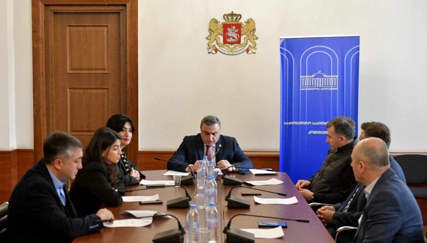 Prosedur Komitəsi Bidzina İvanişvili, İrakli Ğaribaşvili və Mixeil Ğavelaşvilinin parlament üzvü səlahiyyətlərinə xitam verilməsini dəstəkləyib