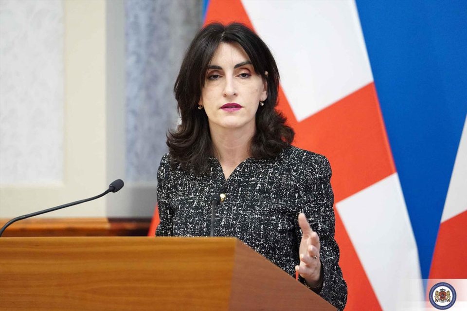 Georgian FM: Alarming to observe scale of intention not to legitimize democratic choice of Georgian people