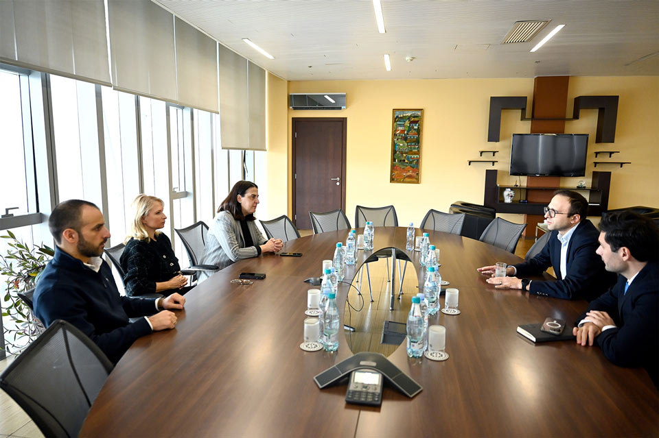 Նաթիա Թուրնավան հանդիպել է ՀՀ կենտրոնական բանկի փոխնախագահ Արմեն Նուրբեկյանի հետ