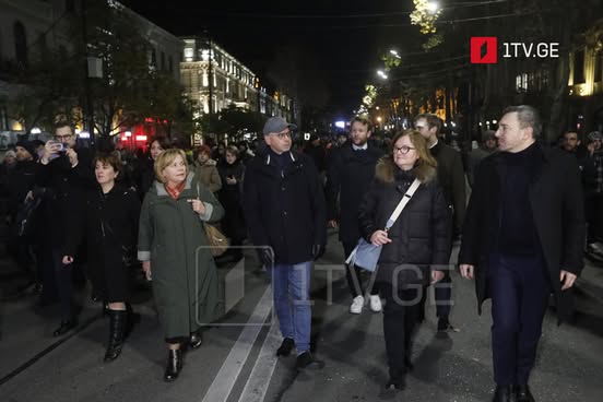 MEPs join protest on Rustaveli Avenue