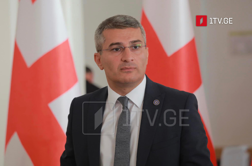 Mamuka Mdinaradze - Dövlət qulluqçusunun gürcü dilini bilmək öhdəliyi artıq yoxdur, onu ləğv ediblər deyirlər, niyə bu yalana cəsarət edirlər, yalanın müəlliflərindən soruşa bilərsiniz, özü də ciddi şəkildə