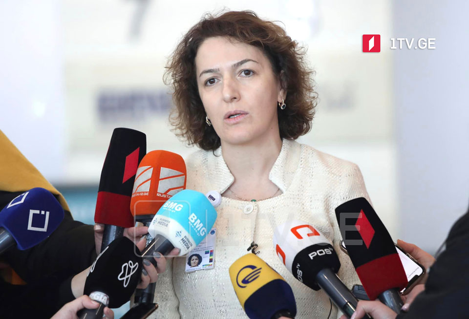 TAV Georgia GM: Stability crucial for business, aviation, new elections should be considered if needed
