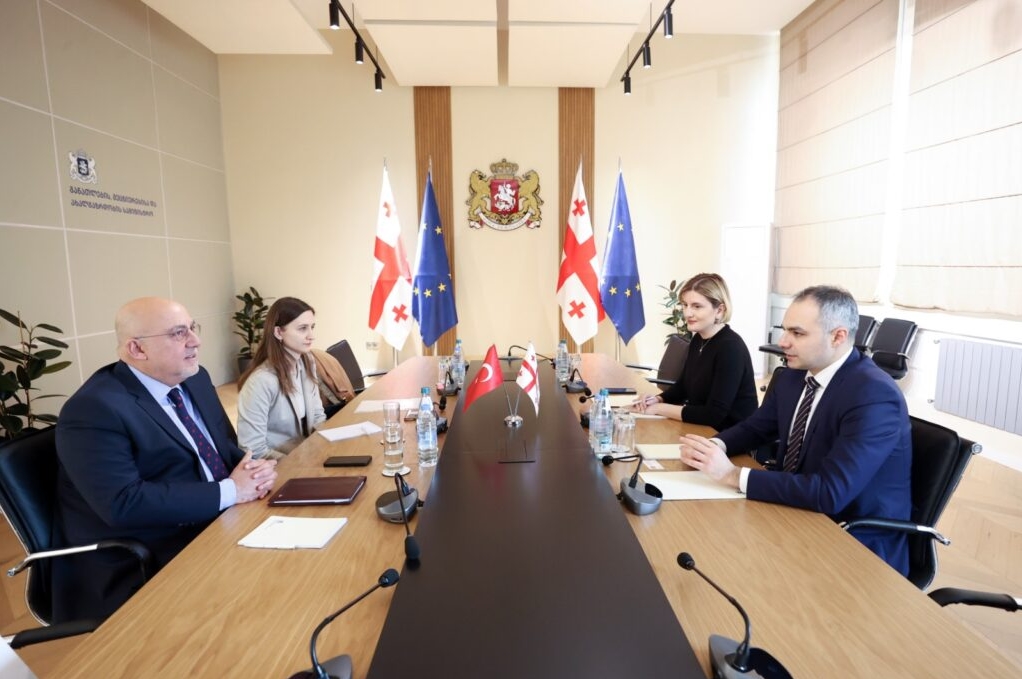 Ալեքսանդրե Ծուլաձեն Վրաստանում Թուրքիայի դեսպանի հետ քննարկել է կրթության և երիտասարդության ոլորտներում համագործակցության խորացման հարցերը