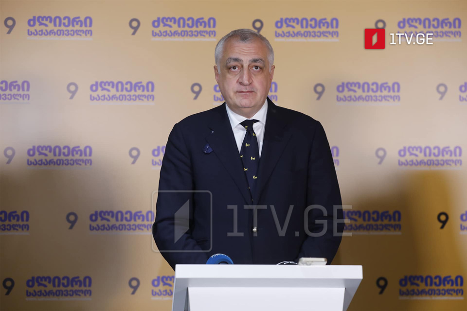 Strong Georgia's Khazaradze accuses opposition parties of participating in GD's message box