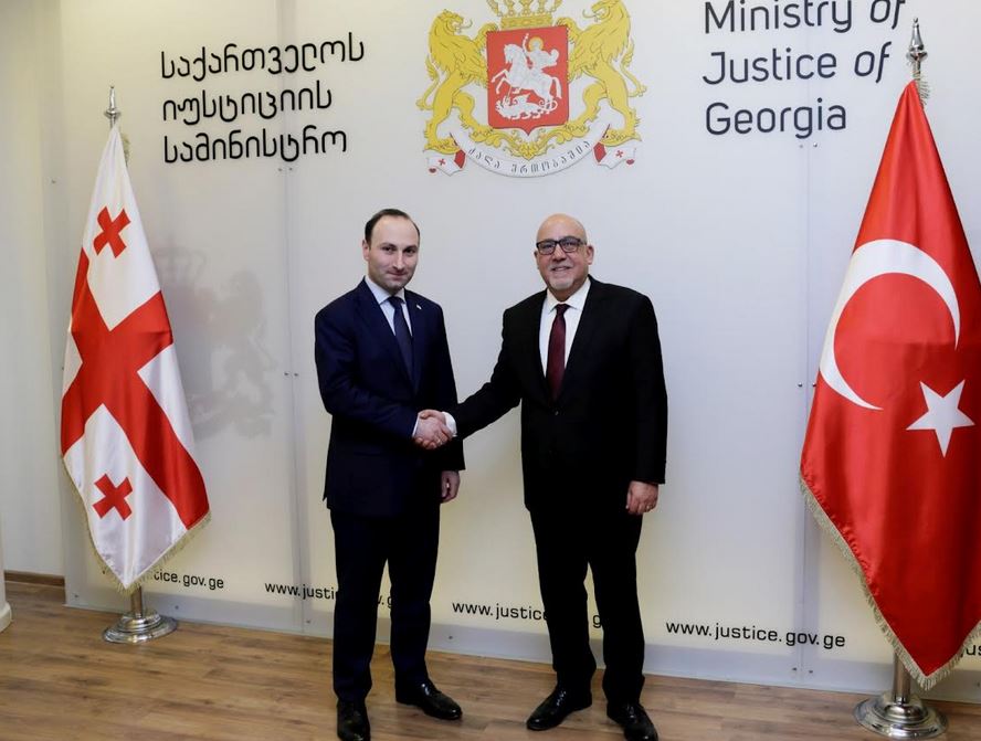 Անրի Օխանաշվիլին հանդիպել է Թուրքիայի Հանրապետության դեսպանի հետ