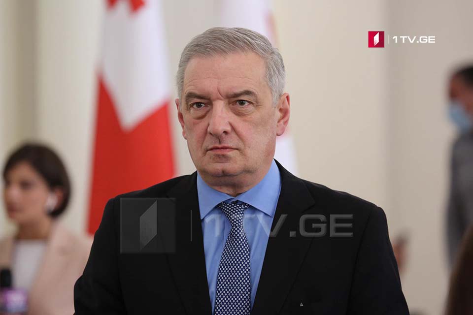 Гия Вольский - Закон о ношении маски и использовании пиротехники на акции протеста не является репрессивным, а исходит из национальных интересов