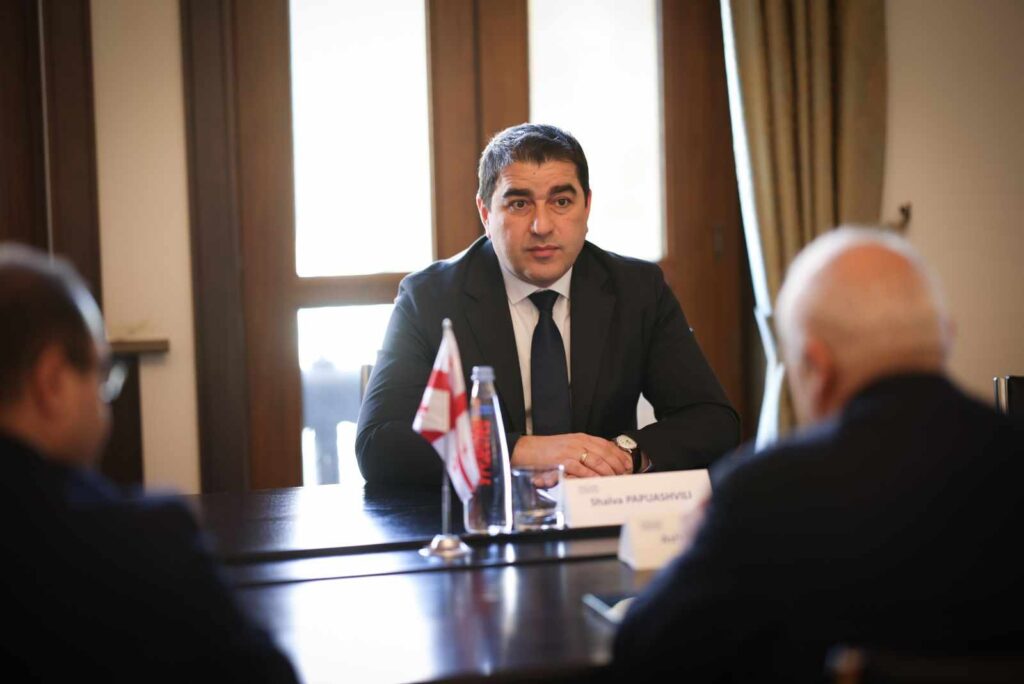 Շալվա Պապուաշվիլին հանդիպել է Հայաստանի Հանրապետության դեսպանին