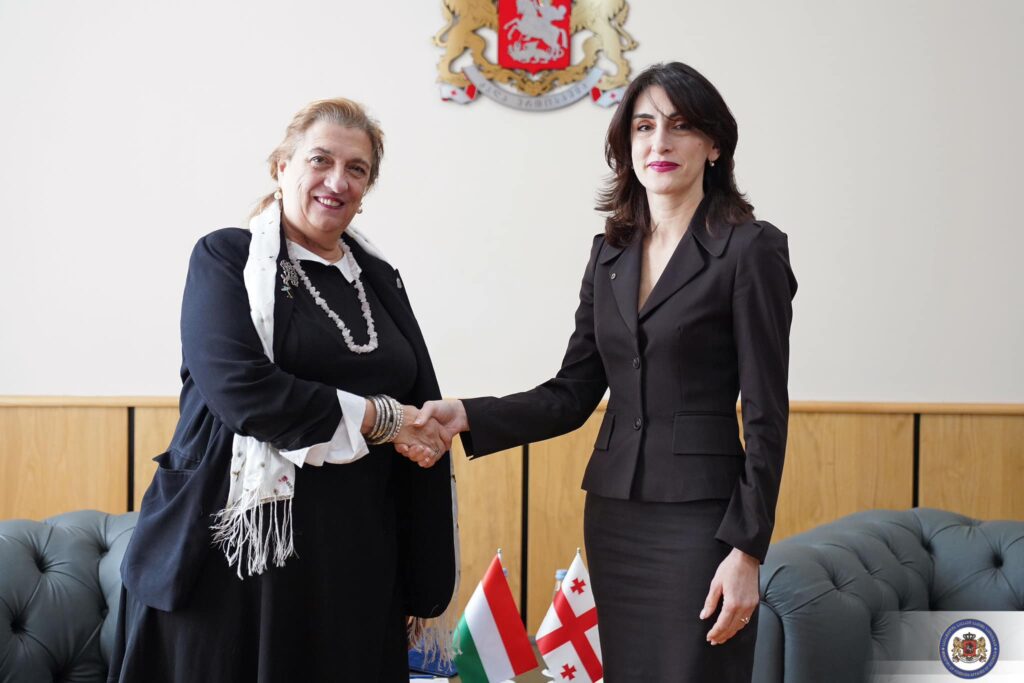 Maka Boçorişvili Macarıstanın səfiri ilə görüşüb