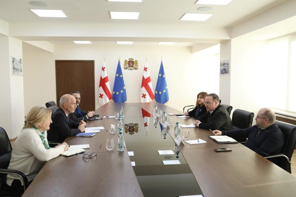 Health Deputy Minister meets IOM Head