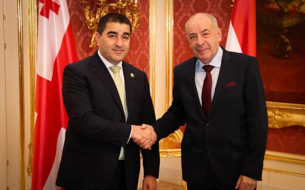 Şalva Papuaşvili Macarıstanın Prezidenti ilə görüşüb