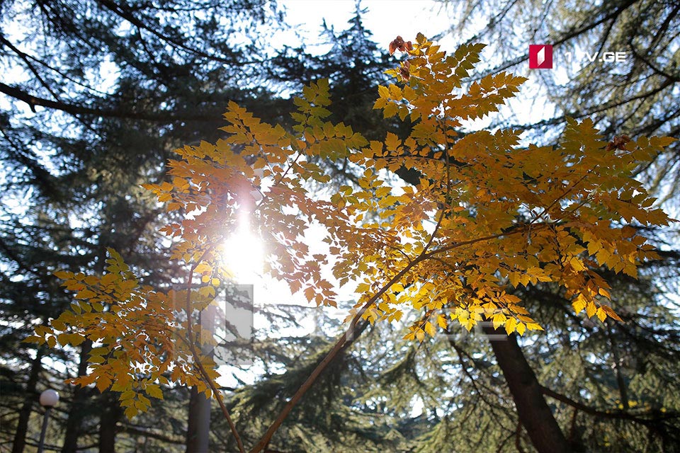 Dry weather in forecast for February 1-3