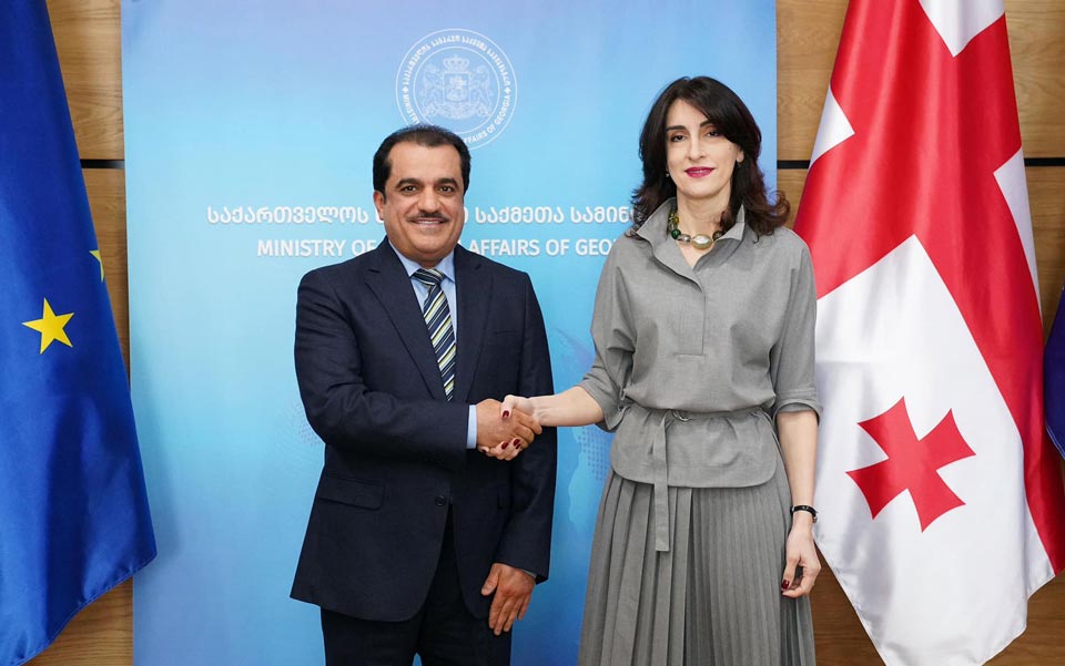 Georgian FM meets Qatari Ambassador