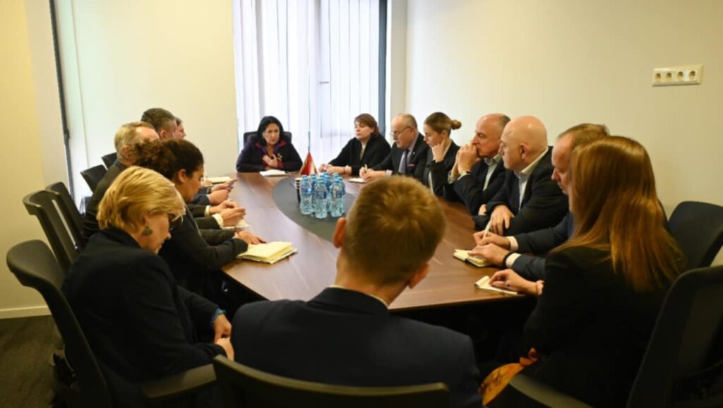 Ex-President Zourabichvili engages with opposition leaders and diplomats