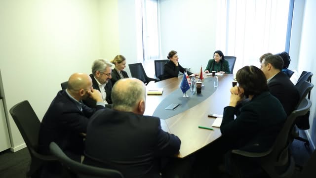 Opposition announces coordination platform with Salome Zourabichvili to sanction specific individuals