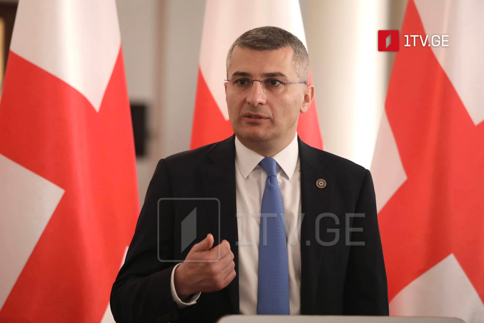 GD's Mdinaradze: Simple and infallible test - what's bad for foreign agents is good for Georgia
