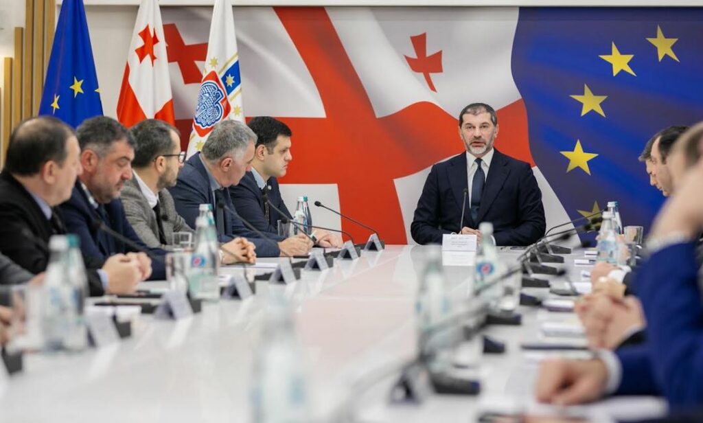 Tbilisi City Hall to allocate GEL 10 mln for transplantation program in 2025 budget