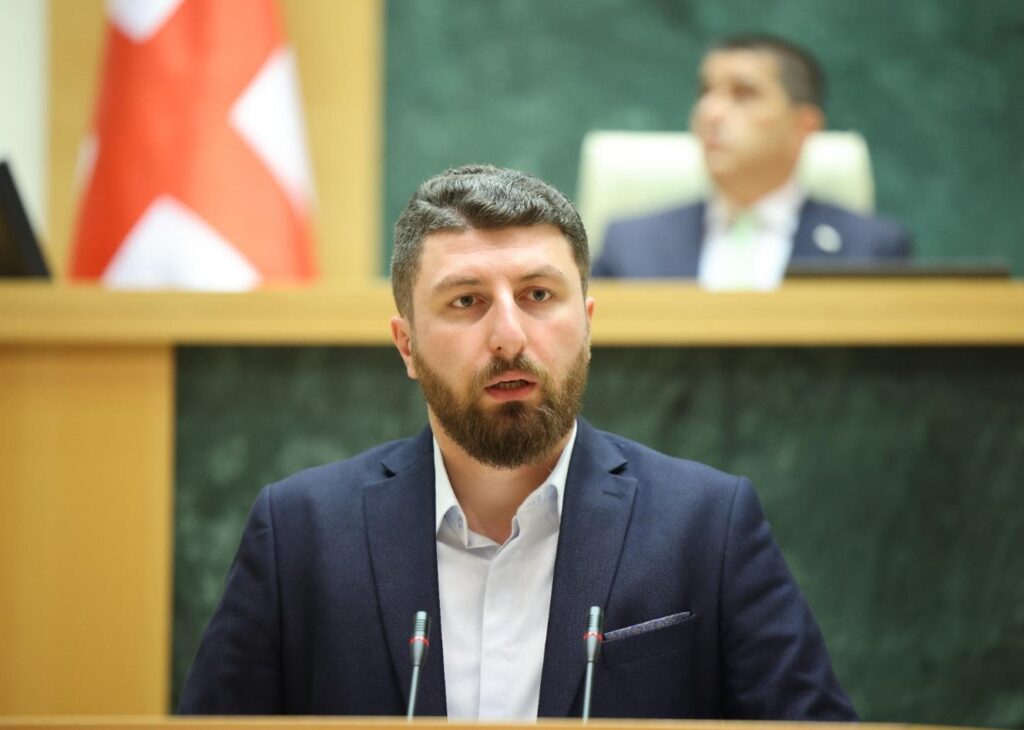 Legal Affairs Committee Chair says US Vice President speaks about unfair attitude toward Georgia