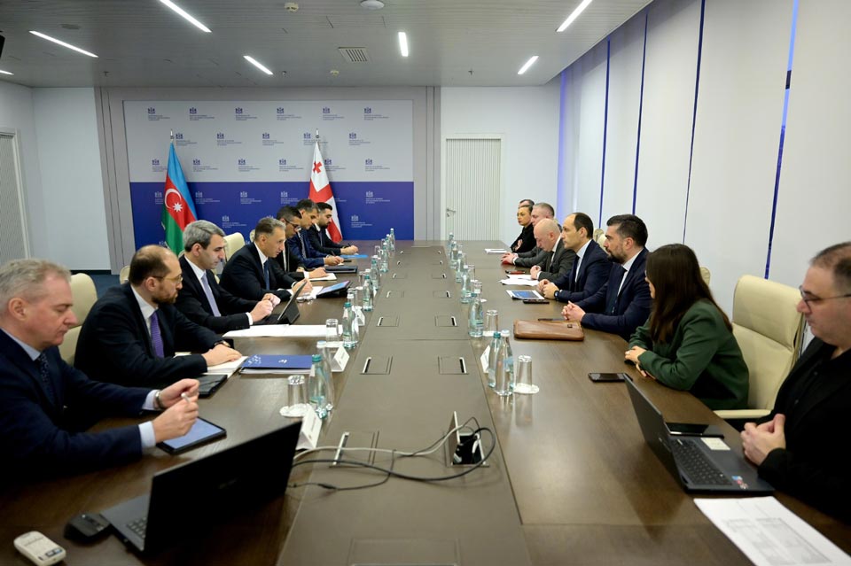 Georgian and Azerbaijan's ministers discuss transport cooperation