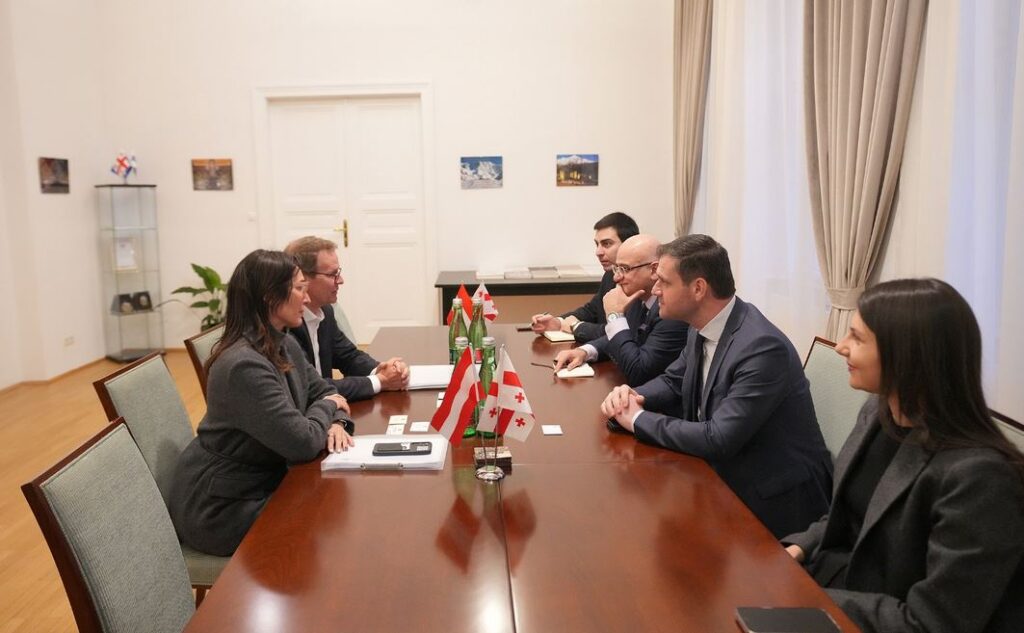 Deputy Economy Minister discusses energy cooperation with Austrian energy companies