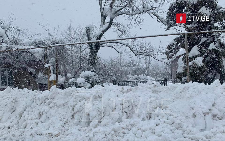 One person dies in heavy snowfall in Ozurgeti municipality