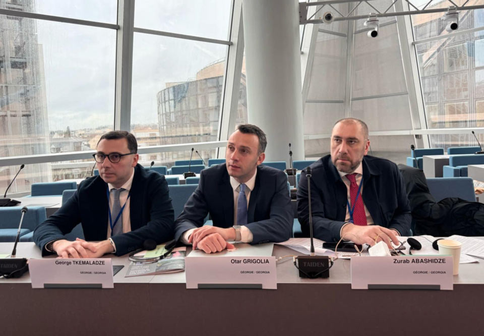 Tbilisi City Council delegation appeals to Congress of CoE over election postponement comments