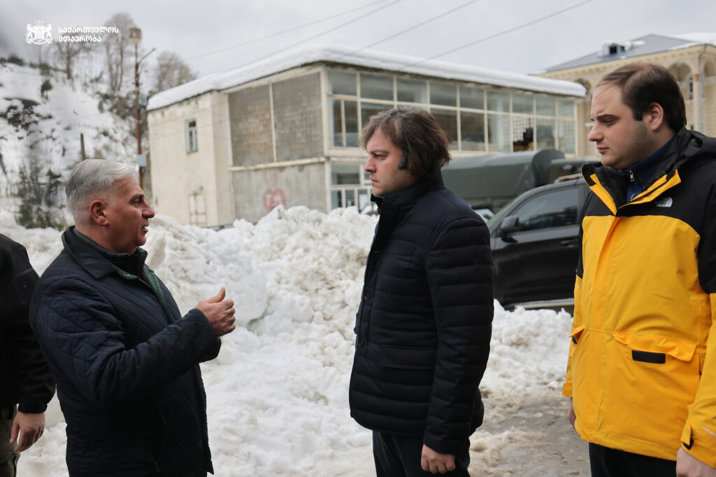 Georgian PM visits Shroma village cut off from Ozurgeti Municipality due to heavy snowfall