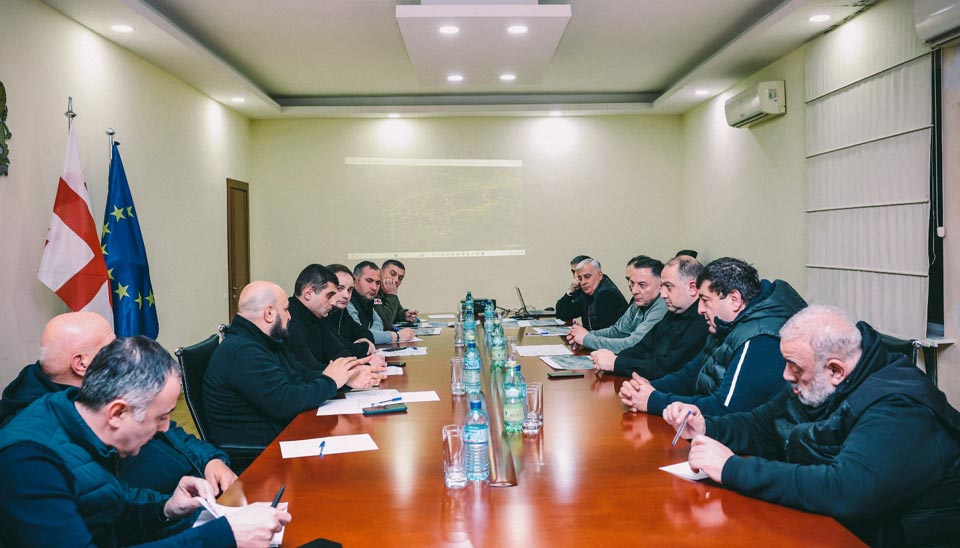 Task Force meeting addresses snow crisis in Guria region