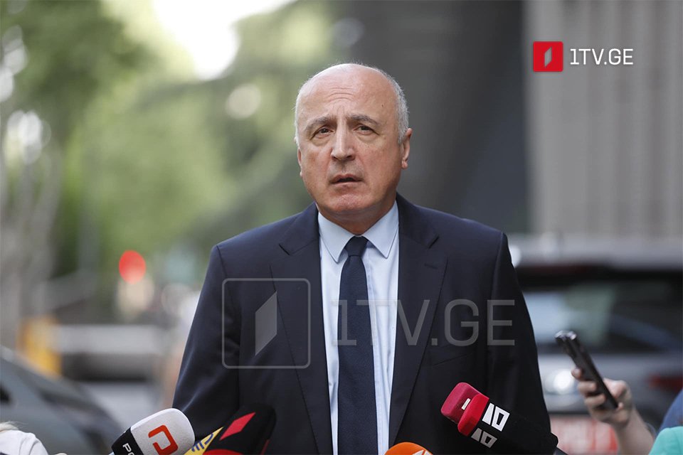 Lelo's Japaridze: We will unite under one coalition when new elections are announced