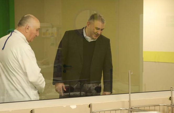 Mixeil Sarcveladze yeni doğulan körpələrin analarını Analar Günü münasibətilə təbrik edib