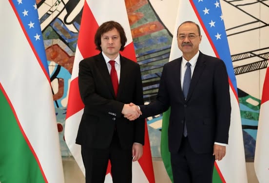 Georgian PM meets his Uzbekistani colleague