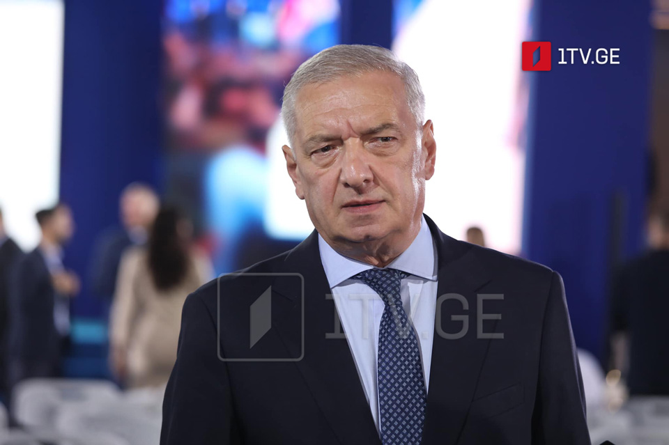 Гия Вольский - Те, кто отказывается участвовать в выборах, преследуют две цели - дестабилизация в стране и постоянное нагнетание политической обстановки