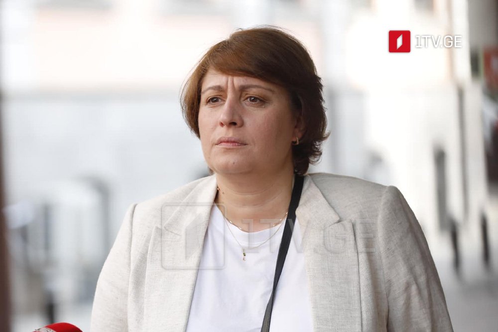 Elene Xoştaria - Hakimiyyət dəyişikliyindən sonra bizdə dayanıqlı, azad və peşəkar dövlət qulluğu olacaq