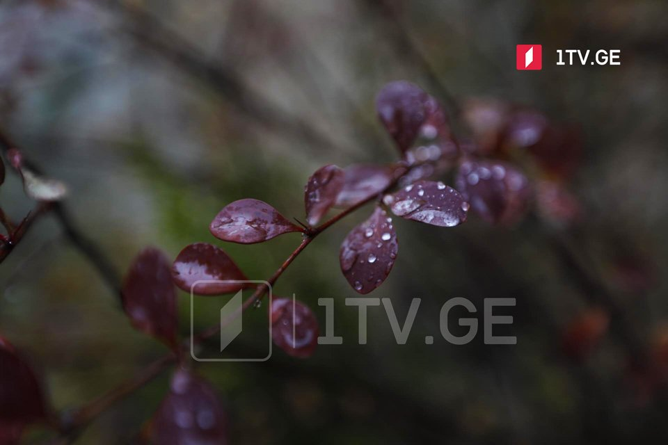 Аҧсабаратә лагылазаара амилаҭтә агентра  - Хәажәкыра  19-20 рзы Қырҭтәыла арегионқәа реиҳара рҿы ақәа ауеит, ашьхаҳаракыратә регионқәа рҿы асы леиуеит