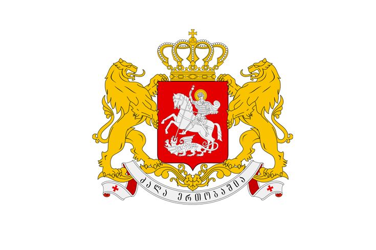 Михаил Кавелашвили отозвал конституционный иск Саломе Зурабишвили об упразднении закона Грузии "О прозрачности иностранного влияния"
