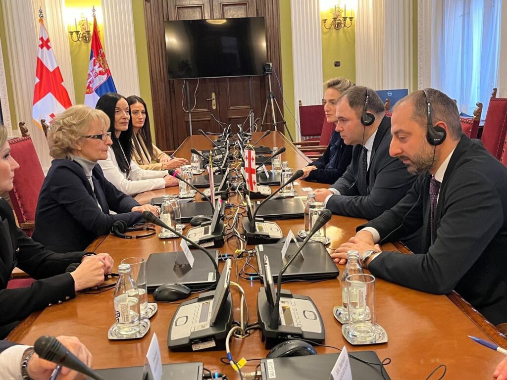 Georgian Foreign Relations Committee delegation pays official visit to Serbia