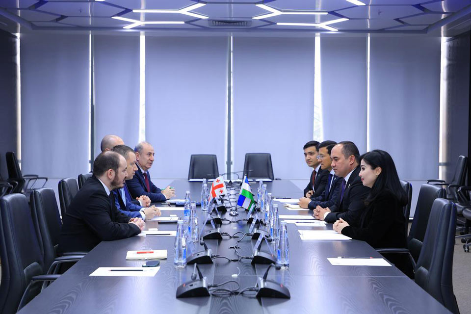 Georgia, Uzbekistan agree to execute innovative initiatives