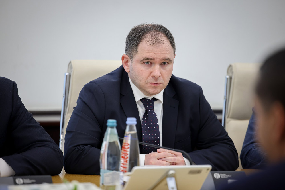 Foreign Relations Committee Chair to French delegation: Georgia cannot act like Estonia—we're not in NATO, Russian threat still close