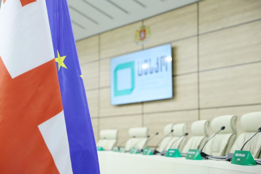 CEC to Salome Zourabichvili: Present substantial evidence or refrain from misleading statements