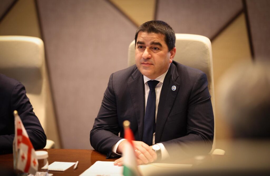 Şalva Papuaşvili Tacikistanın Nümayəndələr Palatasının sədri ilə görüşüb